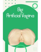 Big Artificial Vagina